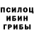 Псилоцибиновые грибы Cubensis adfiip