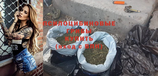 Альфа ПВП Алзамай