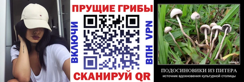 Галлюциногенные грибы прущие грибы  Батайск 