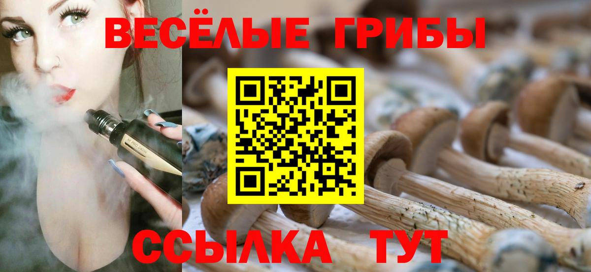 Псилоцибиновые грибы Magic Shrooms  Вход с VPN  Батайск  Галлюциногенные грибы мицелий 