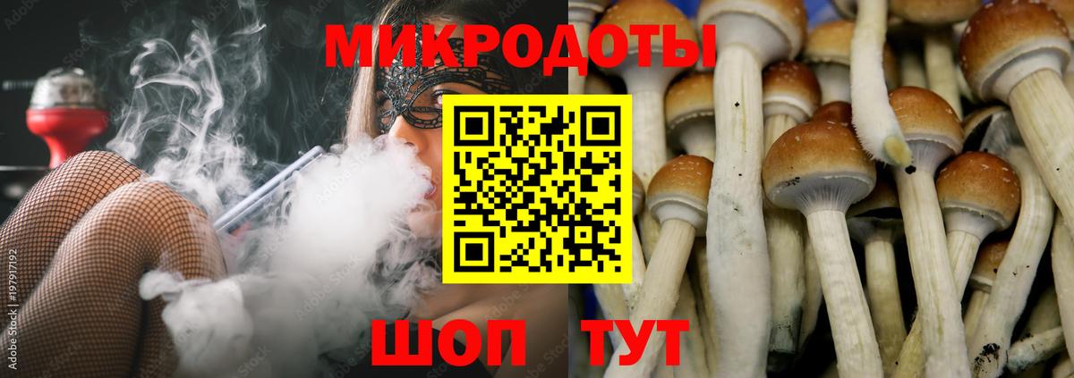 Галлюциногенные грибы GOLDEN TEACHER Батайск